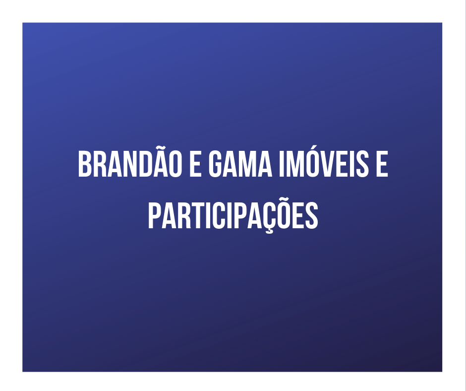 exemplo cliente - serviços contábeis para holding